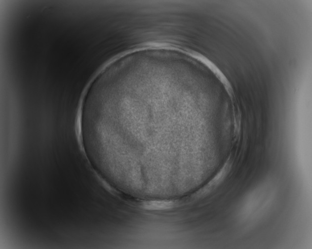 X0000087601294200705181230