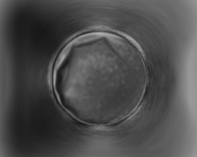 X0000087601295200705181230