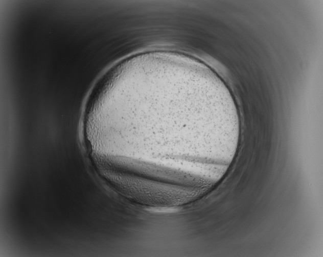 X0000087601296200705181230