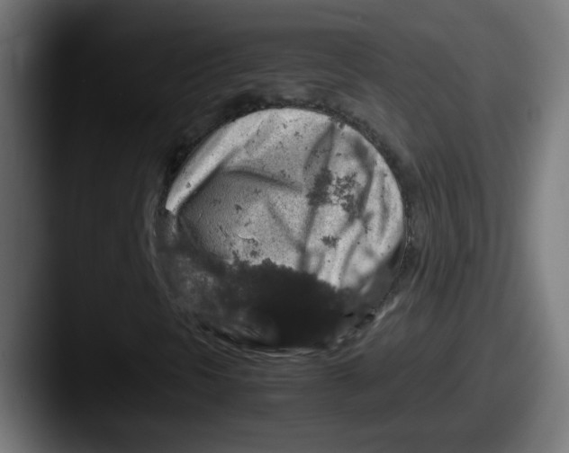 X0000087601297200705181230