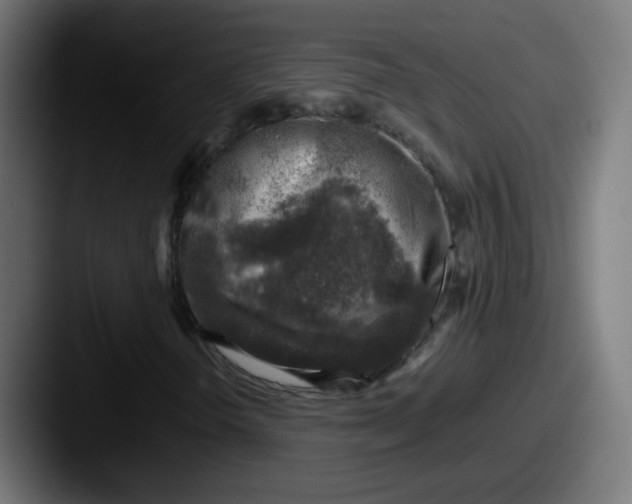 X0000087601298200705181230