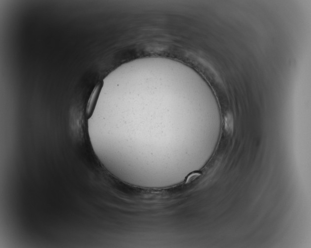 X0000087601299200705181230