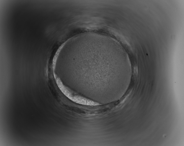 X0000087601300200705181230