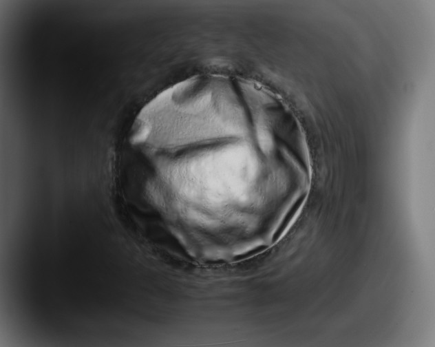 X0000087601301200705181230