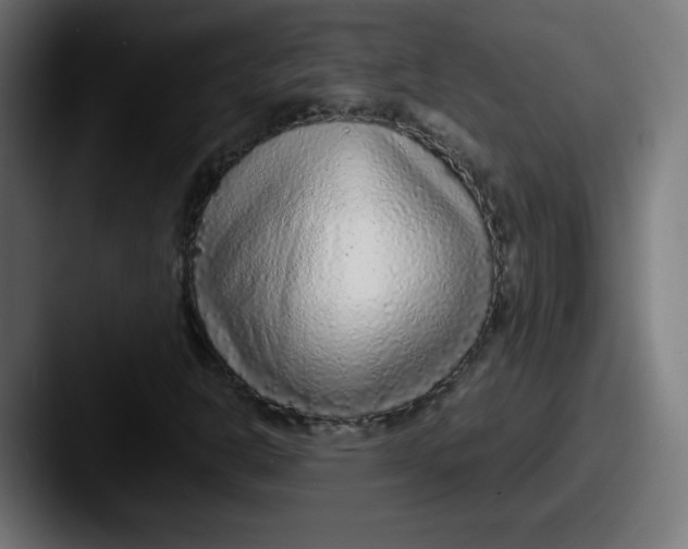 X0000087601302200705181230