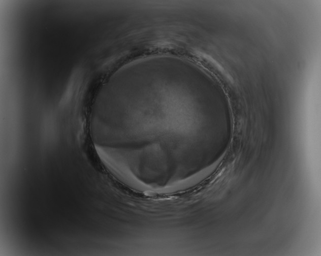 X0000087601303200705181230