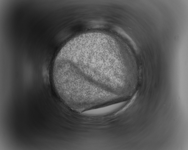 X0000087601305200705181230