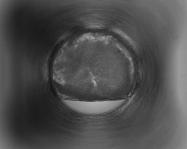 X0000087601306200705181230