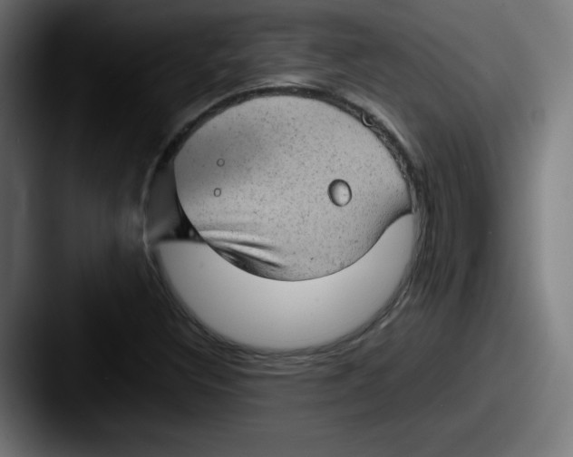 X0000087601308200705181230