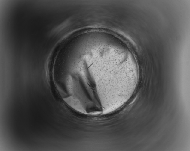 X0000087601311200705181230