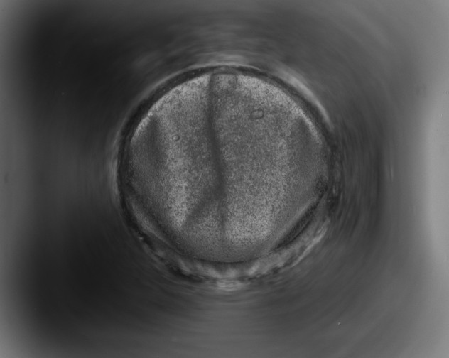 X0000087601312200705181230