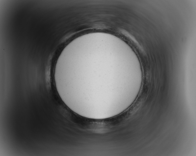 X0000087601315200705181230