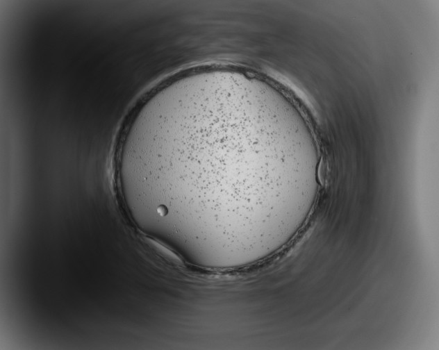 X0000087601316200705181230