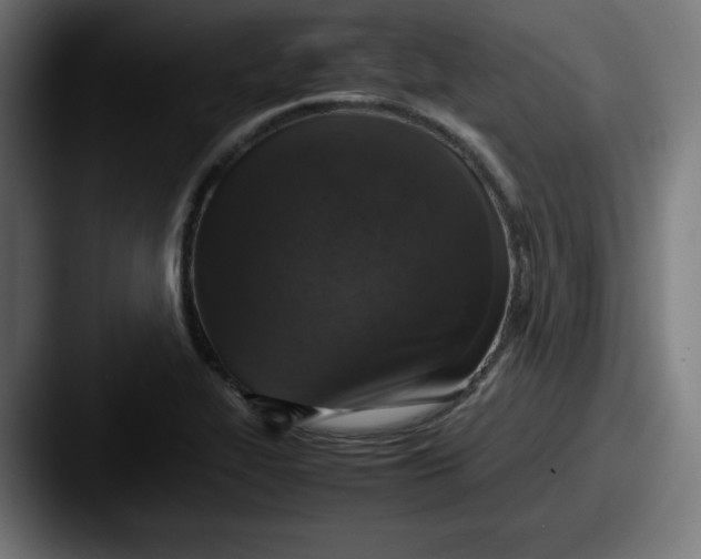 X0000087601319200705181230