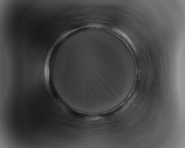 X0000087601323200705181230