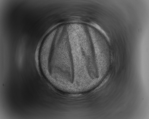 X0000087601325200705181230