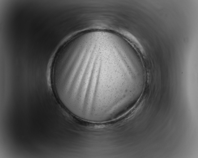 X0000087601326200705181230