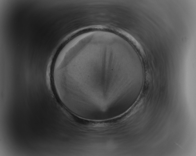 X0000087601327200705181230