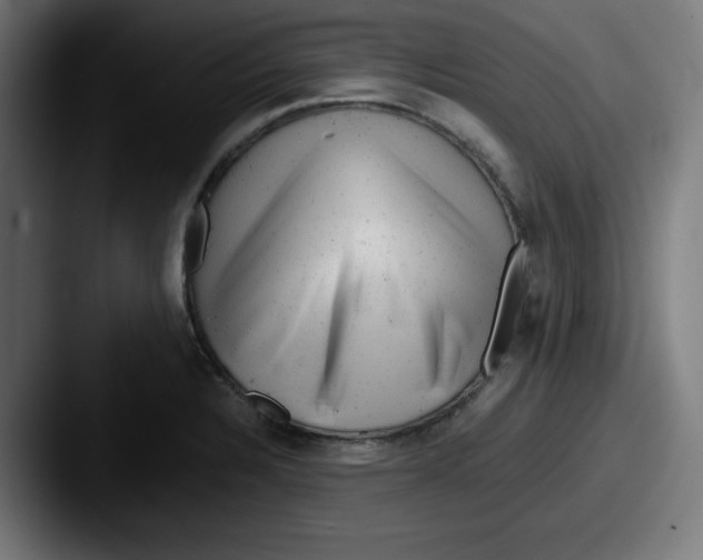 X0000087601328200705181230