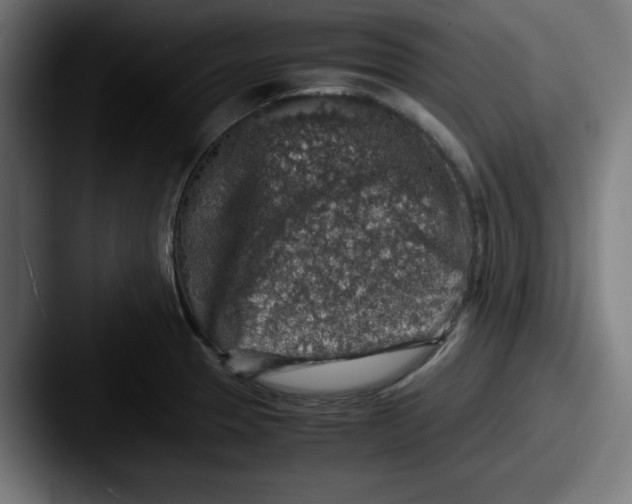 X0000087601329200705181230