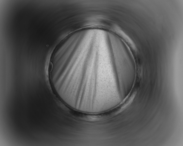 X0000087601330200705181230
