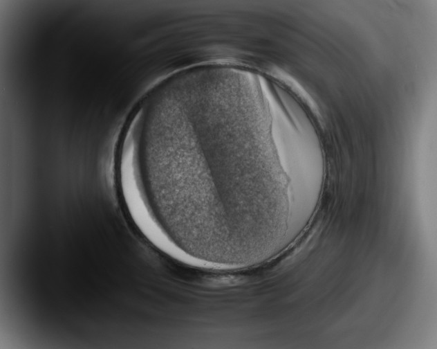 X0000087601331200705181230