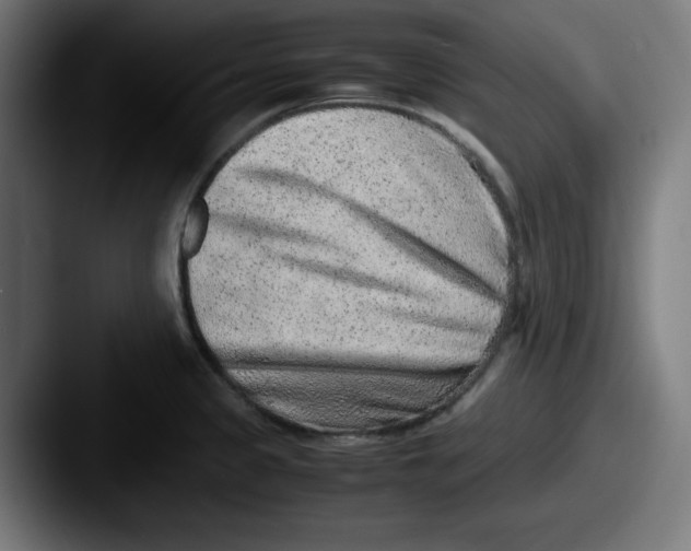 X0000087601333200705181230