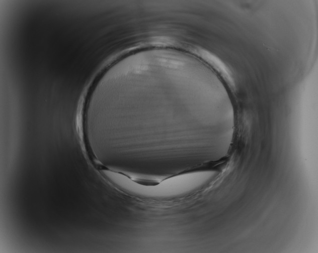 X0000087601334200705181230