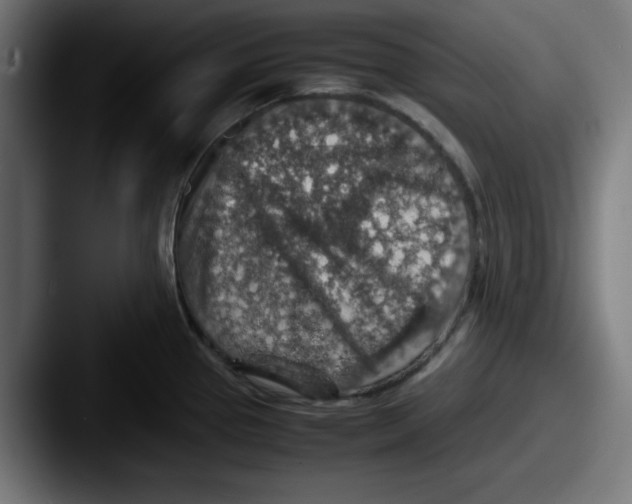 X0000087601337200705181230