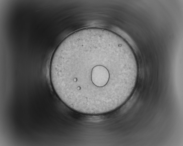 X0000087601338200705181230
