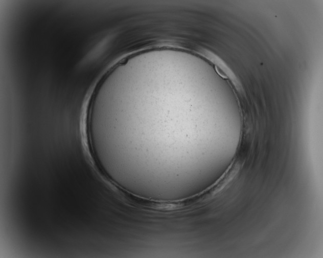 X0000087601339200705181230