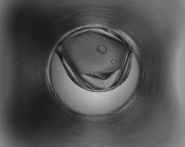X0000087601340200705181230