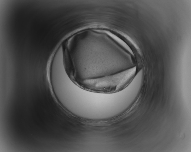 X0000087601342200705181230