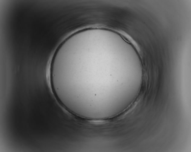 X0000087601343200705181230