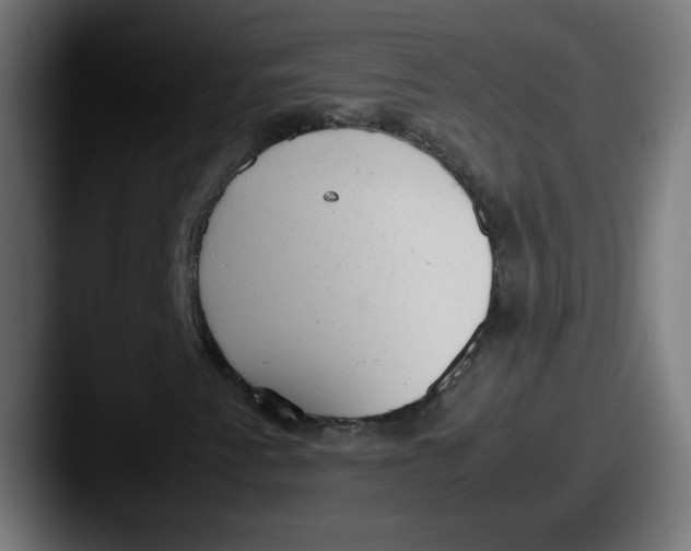 X0000087601345200705181230