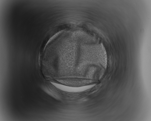 X0000087601346200705181230