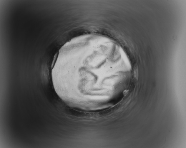 X0000087601347200705181230