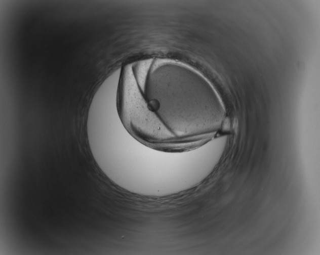 X0000087601348200705181230