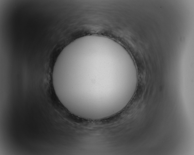X0000087601349200705181230