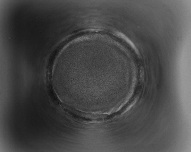 X0000087601352200705181230