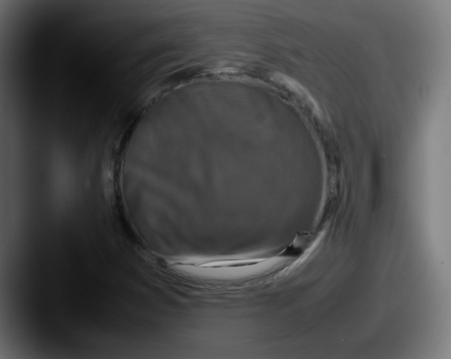 X0000087601353200705181230