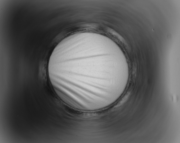 X0000087601354200705181230