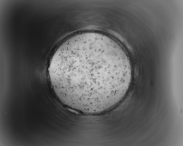 X0000087601356200705181230