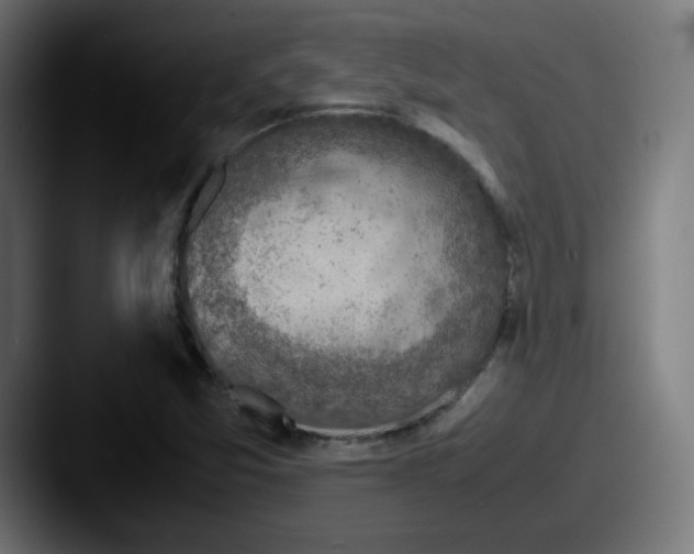 X0000087601357200705181230