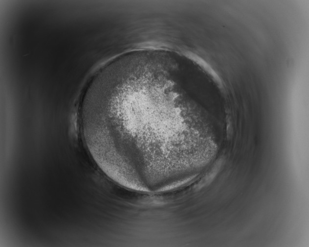 X0000087601358200705181230