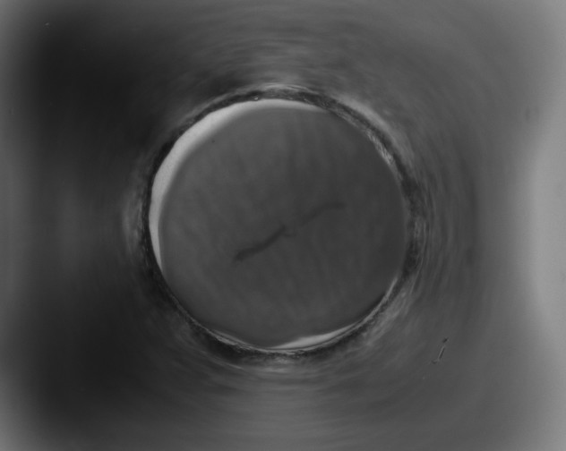 X0000087601359200705181230