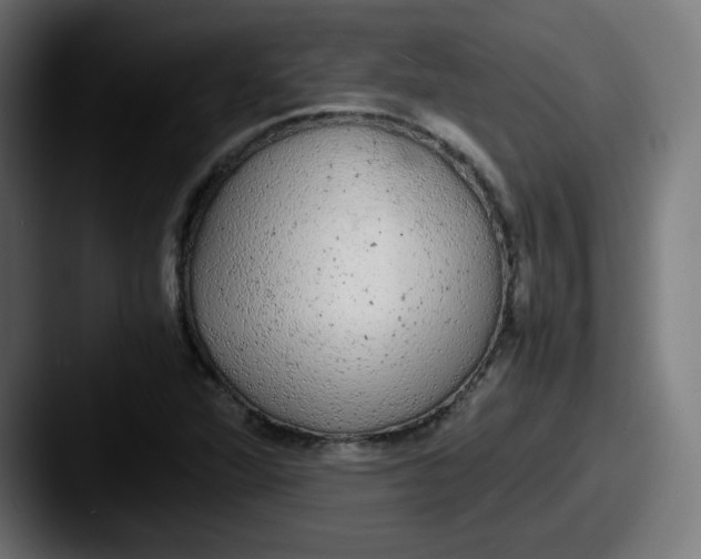 X0000087601360200705181230