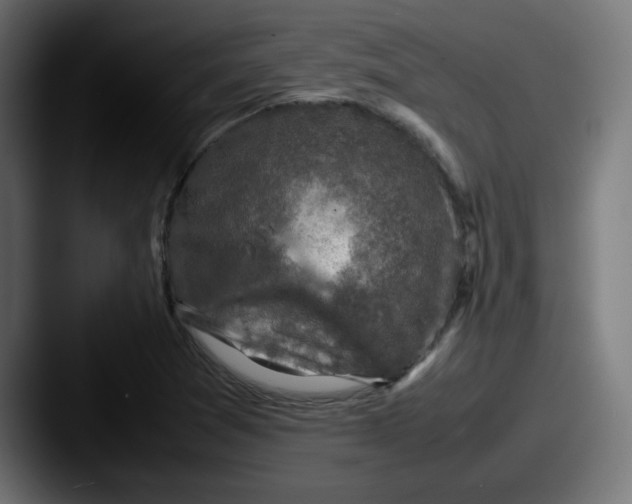 X0000087601361200705181230