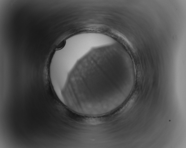 X0000087601362200705181230