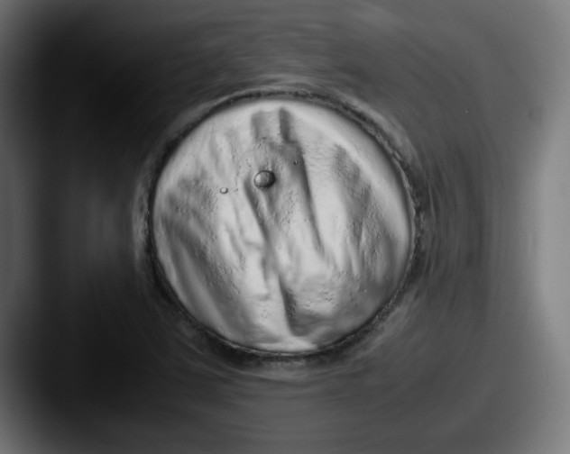 X0000087601363200705181230